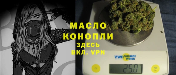 стаф Богородск