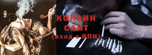стаф Богородск